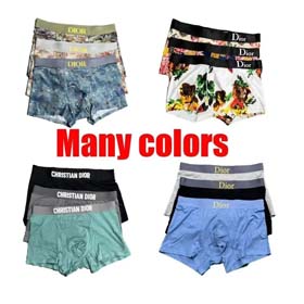 Dior Men's Fashion Colorful Printed Briefs Boxer Briefs underwear 3PCS-2404  